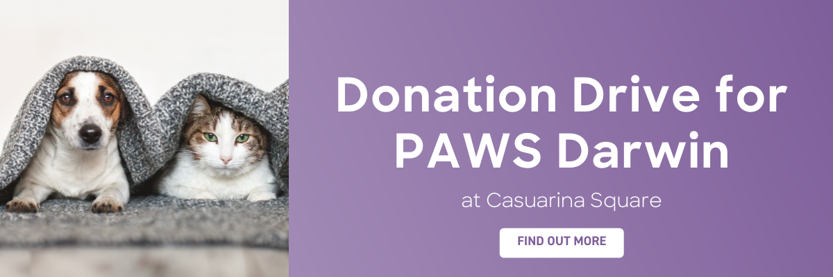 Donation drive for PAWS Darwin - a cat and dog under a blanket looking cosy and cute